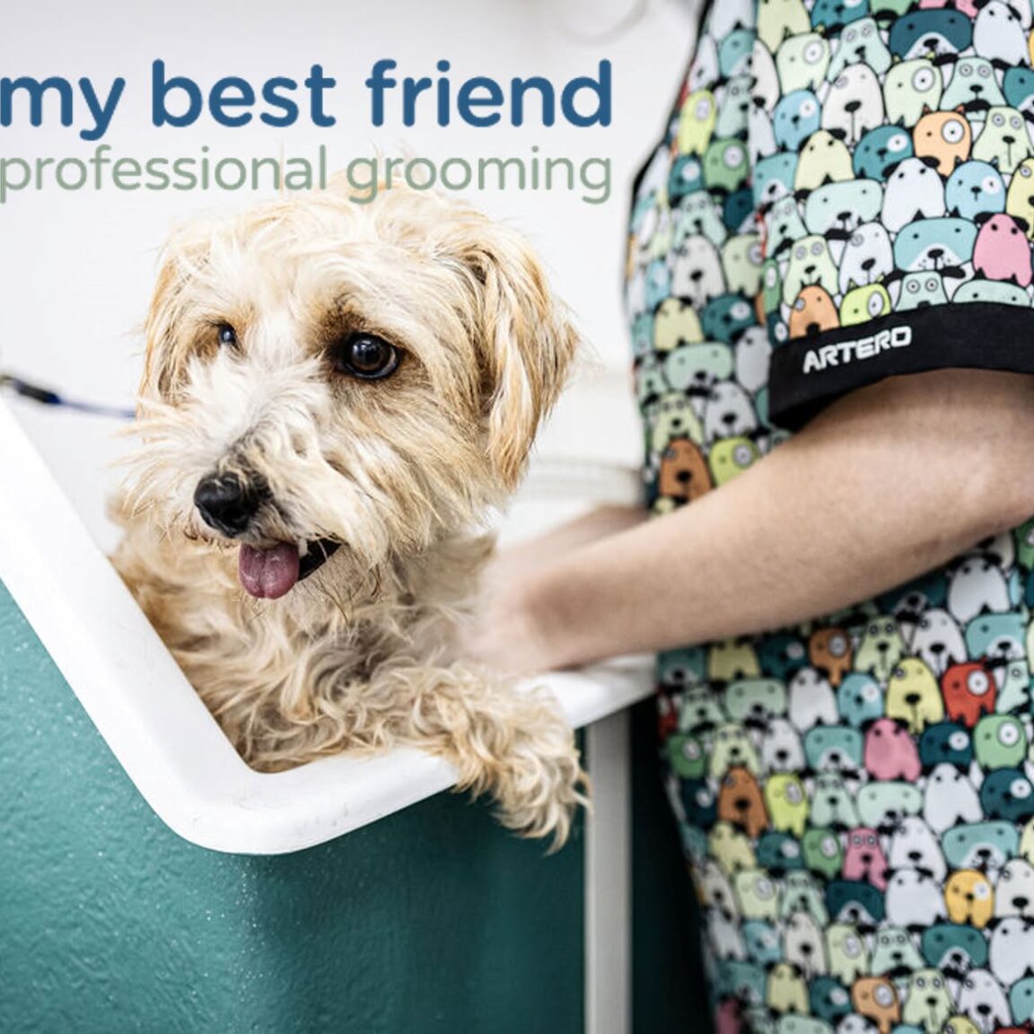 The Ultimate Guide to Cockapoo Grooming