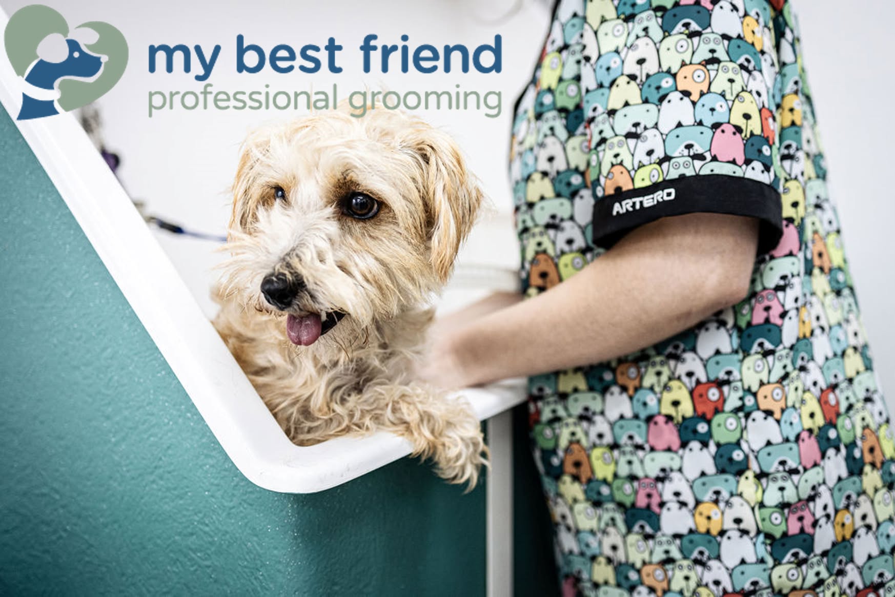 Cirencester Dog Grooming Reviews, October 2025